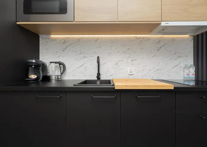 Apartament Baltini Premium Kasprowicza *